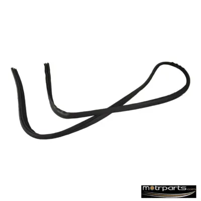 Genuine Ford Figo Door Weather Strip AS6Z5825324AB