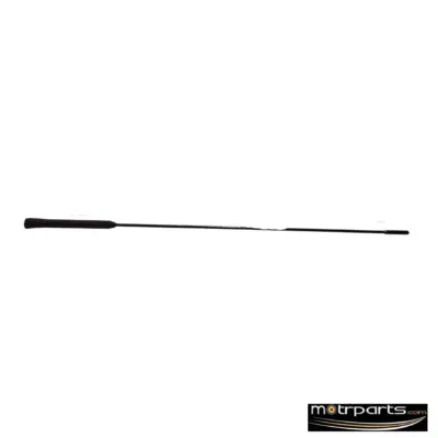 Genuine Ford Ecosport Antenna