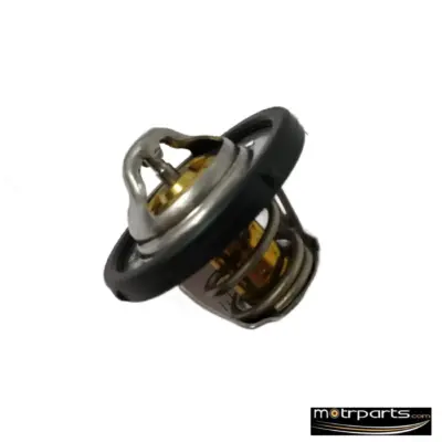 Genuine Ford Figo Thermostat Valve