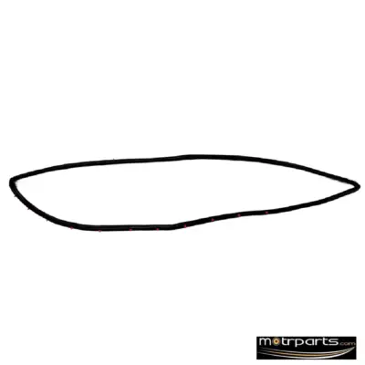 Genuine Ford Figo Rear Door Weather Strip AS6Z58253A10B