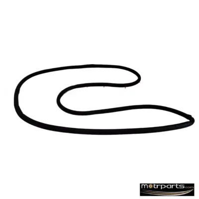 Genuine Ford Figo Rear Door Weather Strip AS6Z58253A11B