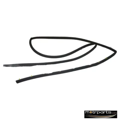 Genuine Ford Figo Rear Door Weather Strip