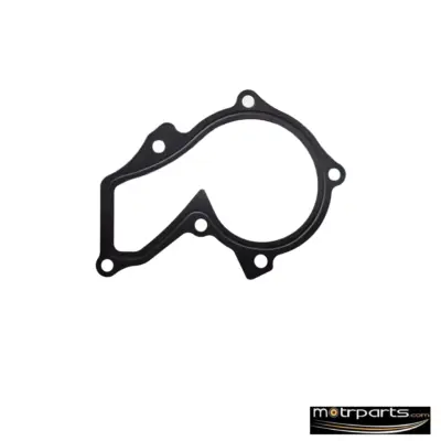 Genuine Ford Figo Water Pump Gasket