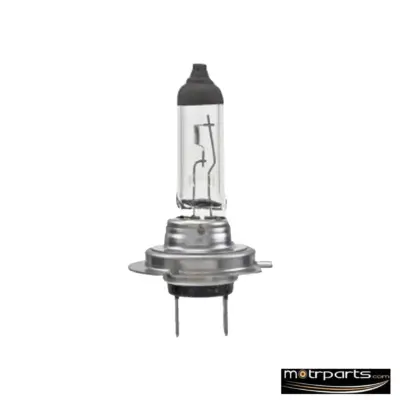 Hella H7 Bulb 12V