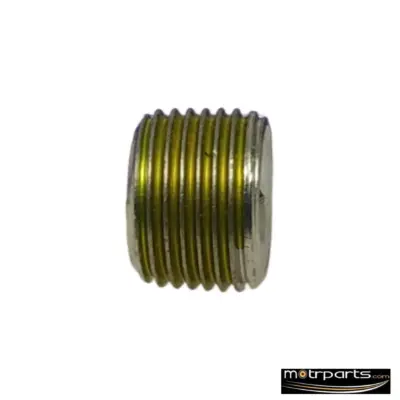 Genuine Maruti WagonR Oil Drain Plug