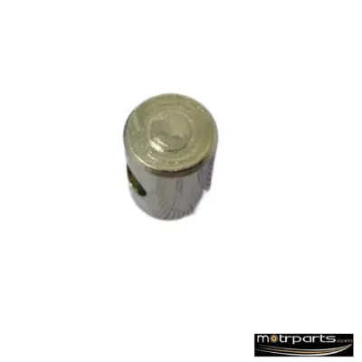Genuine Maruti 800cc Pin