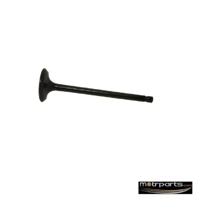 Genuine Maruti Eeco Intake Valve