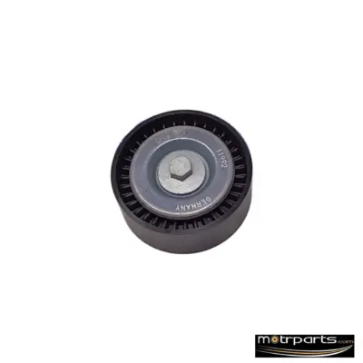 SMR Ford Ecosport Idler Pulley