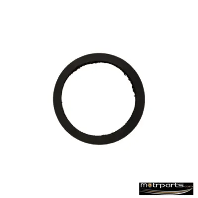 Genuine Tata Indigo Thermostat Seal