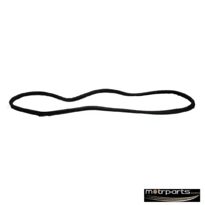 Genuine Tata Bolt Rear Door Primary Seal Left
