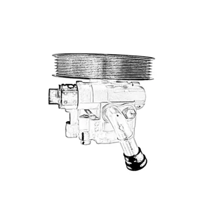 Power Steering Pump Common