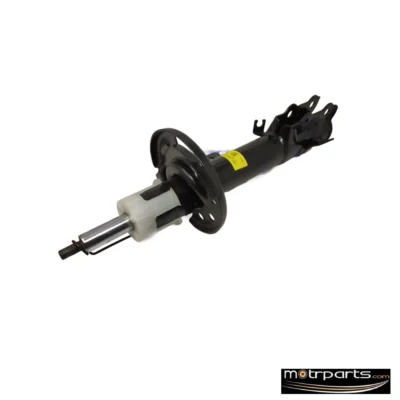 Sachs Ford Ecosport Front Shock Absorber Left 318 574