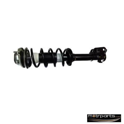 Genuine Maruti WagonR Front Strut Assy Right 41069M67L14