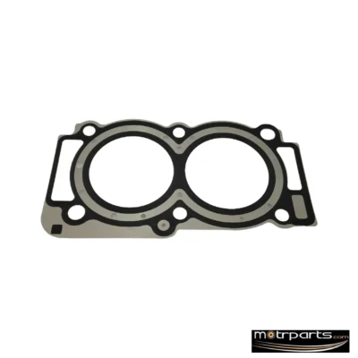 Genuine Tata Nano Head Gasket G570501155308