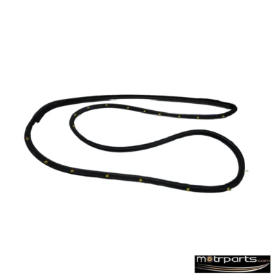 Genuine Maruti Eeco Front Door Weather Strip Left 84651M78L00