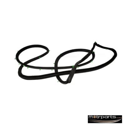 Genuine Maruti Swift Rear Door Weather Strip Right 84661M75J00